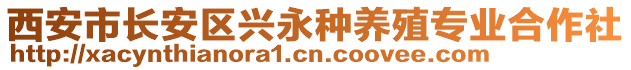 西安市長安區興永種養殖專業合作社
