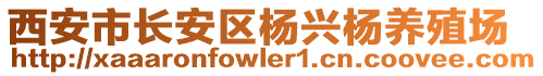 西安市長安區(qū)楊興楊養(yǎng)殖場