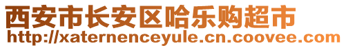 西安市長(zhǎng)安區(qū)哈樂購(gòu)超市