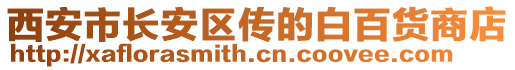 西安市長安區傳的白百貨商店