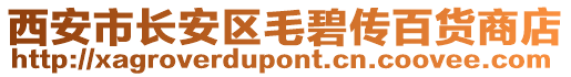 西安市長安區(qū)毛碧傳百貨商店