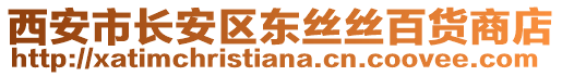 西安市長(zhǎng)安區(qū)東絲絲百貨商店