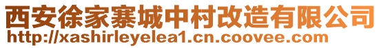 西安徐家寨城中村改造有限公司