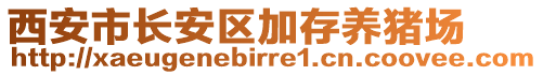 西安市長安區(qū)加存養(yǎng)豬場