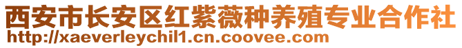 西安市長安區(qū)紅紫薇種養(yǎng)殖專業(yè)合作社