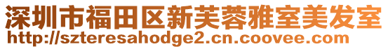 深圳市福田區(qū)新芙蓉雅室美發(fā)室