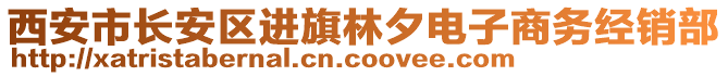 西安市長安區(qū)進(jìn)旗林夕電子商務(wù)經(jīng)銷部