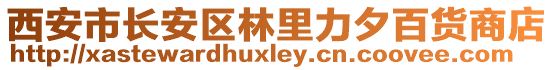 西安市長安區(qū)林里力夕百貨商店