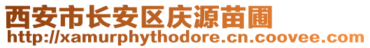 西安市長安區(qū)慶源苗圃