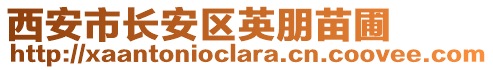 西安市長安區(qū)英朋苗圃