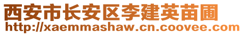 西安市長安區(qū)李建英苗圃