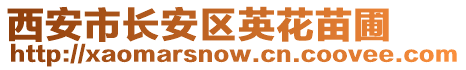 西安市長安區(qū)英花苗圃