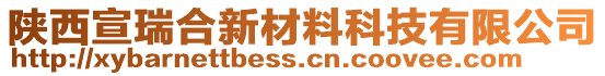 陜西宣瑞合新材料科技有限公司