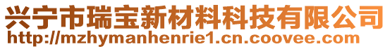 興寧市瑞寶新材料科技有限公司