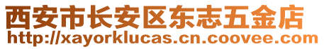 西安市長安區(qū)東志五金店