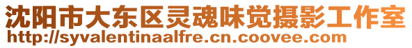 沈陽市大東區靈魂味覺攝影工作室