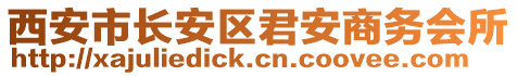 西安市長安區(qū)君安商務(wù)會所