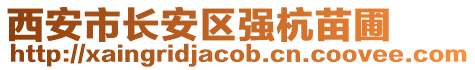 西安市長安區(qū)強(qiáng)杭苗圃