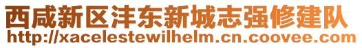 西咸新區灃東新城志強修建隊