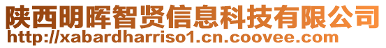 陜西明暉智賢信息科技有限公司