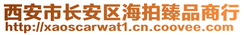 西安市長安區(qū)海拍臻品商行