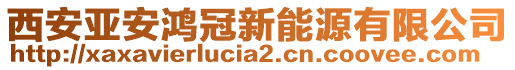 西安亚安鸿冠新能源有限公司