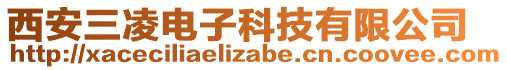 西安三凌電子科技有限公司