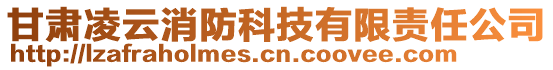 甘肅凌云消防科技有限責任公司