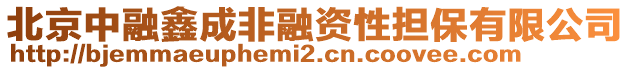 北京中融鑫成非融資性擔(dān)保有限公司