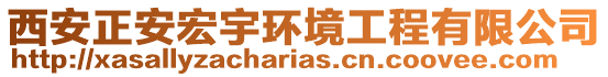 西安正安宏宇環(huán)境工程有限公司