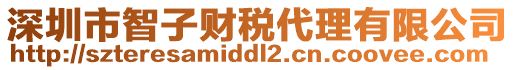 深圳市智子財稅代理有限公司