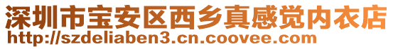 深圳市寶安區西鄉真感覺內衣店