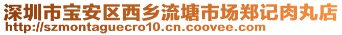 深圳市寶安區西鄉流塘市場鄭記肉丸店
