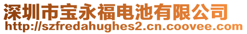 深圳市寶永福電池有限公司