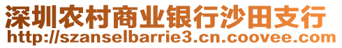 深圳農(nóng)村商業(yè)銀行沙田支行
