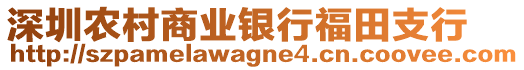 深圳農村商業銀行福田支行