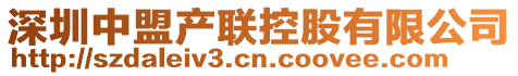 深圳中盟產聯控股有限公司