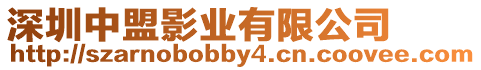 深圳中盟影業有限公司