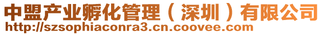 中盟產業孵化管理(深圳)有限公司