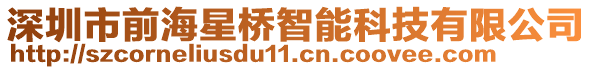 深圳市前海星橋智能科技有限公司