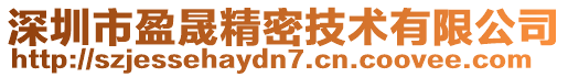 深圳市盈晟精密技術有限公司