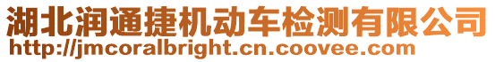 湖北潤通捷機動車檢測有限公司
