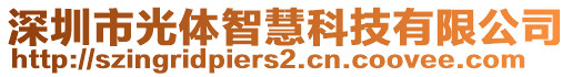 深圳市光體智慧科技有限公司