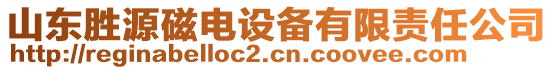 山東勝源磁電設(shè)備有限責(zé)任公司