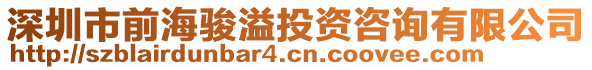 深圳市前海駿溢投資咨詢有限公司