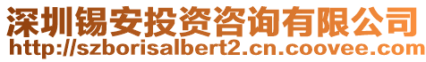 深圳錫安投資咨詢有限公司
