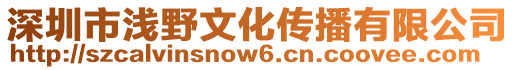 深圳市淺野文化傳播有限公司