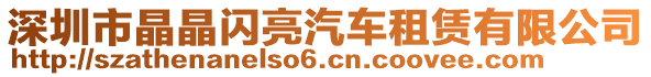 深圳市晶晶閃亮汽車租賃有限公司