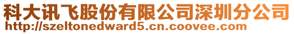 科大訊飛股份有限公司深圳分公司