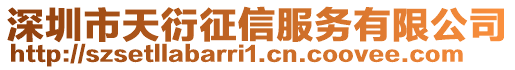 深圳市天衍征信服務有限公司